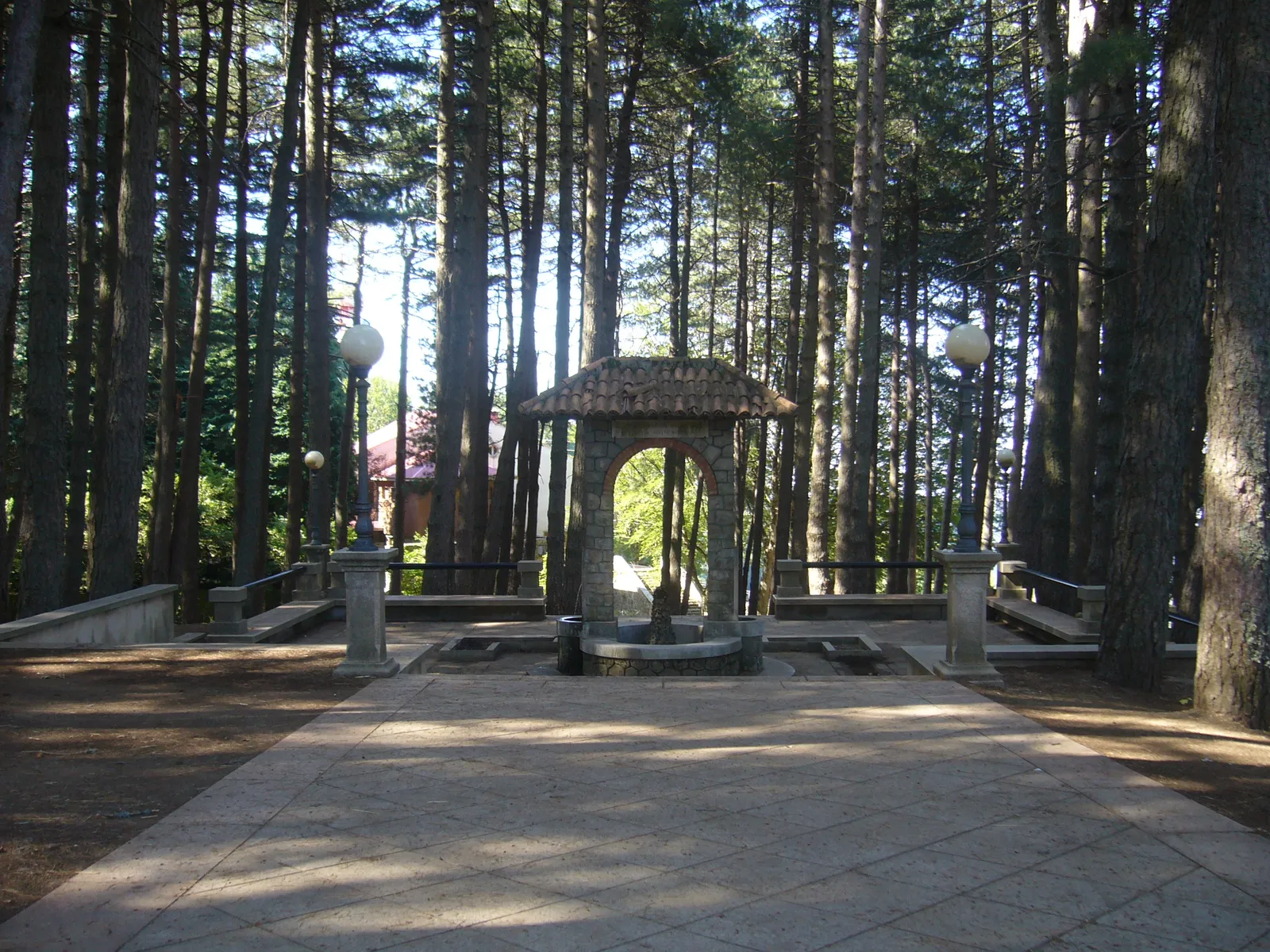 Pineta e fontana a Gambarie, nell'entroterra della Vallata del Gallico